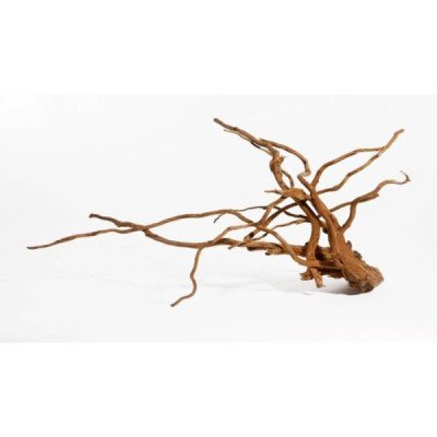 RAICES ROJAS MOOR XL