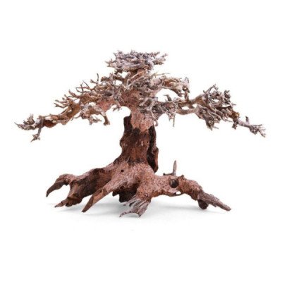 BONSAI DOBLE ALTURA M 24X16X20 CM