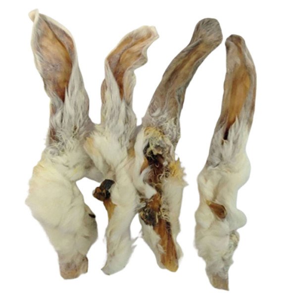 OREJA DE CONEJO