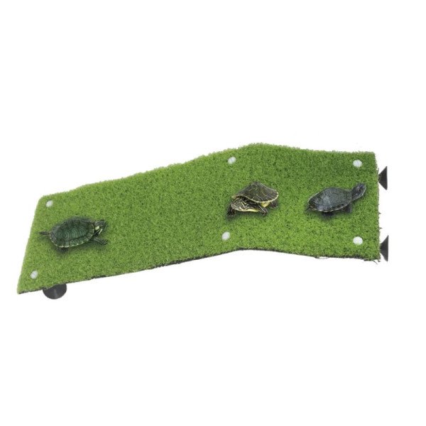 GRAN RAMPA CON CESPED TORTUGUERAS