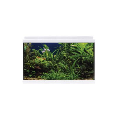 KIT INTERIOR AQUALED 64 BLANCO 59.8*30.9*40