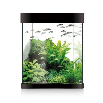KIT NANO AQUALED 10L NEGRO LOT: -