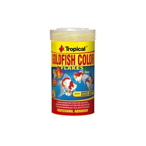 77173 GOLDFISH COLOR 100 ML